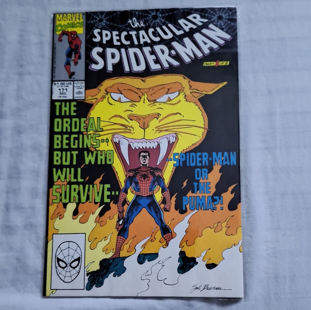 Lot of 8 Spectacular Spider-Man Comics
